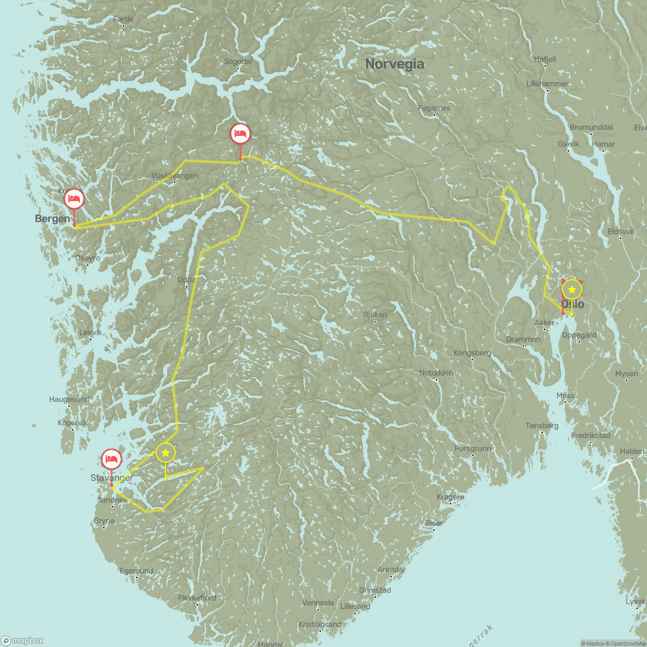 tours-norvegia-oslo-bergen-e-i-fiordi-in-breve-no023